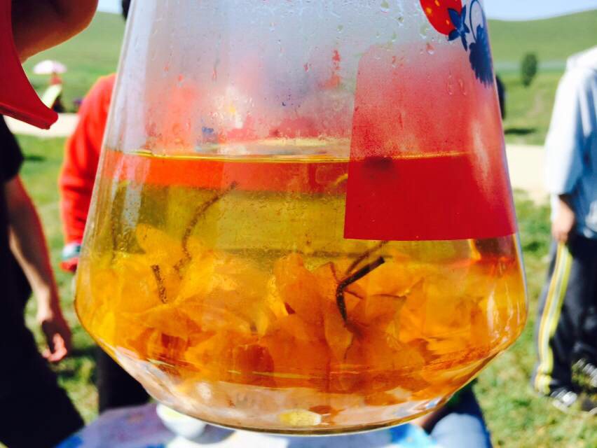 坝上草原特产金莲花茶