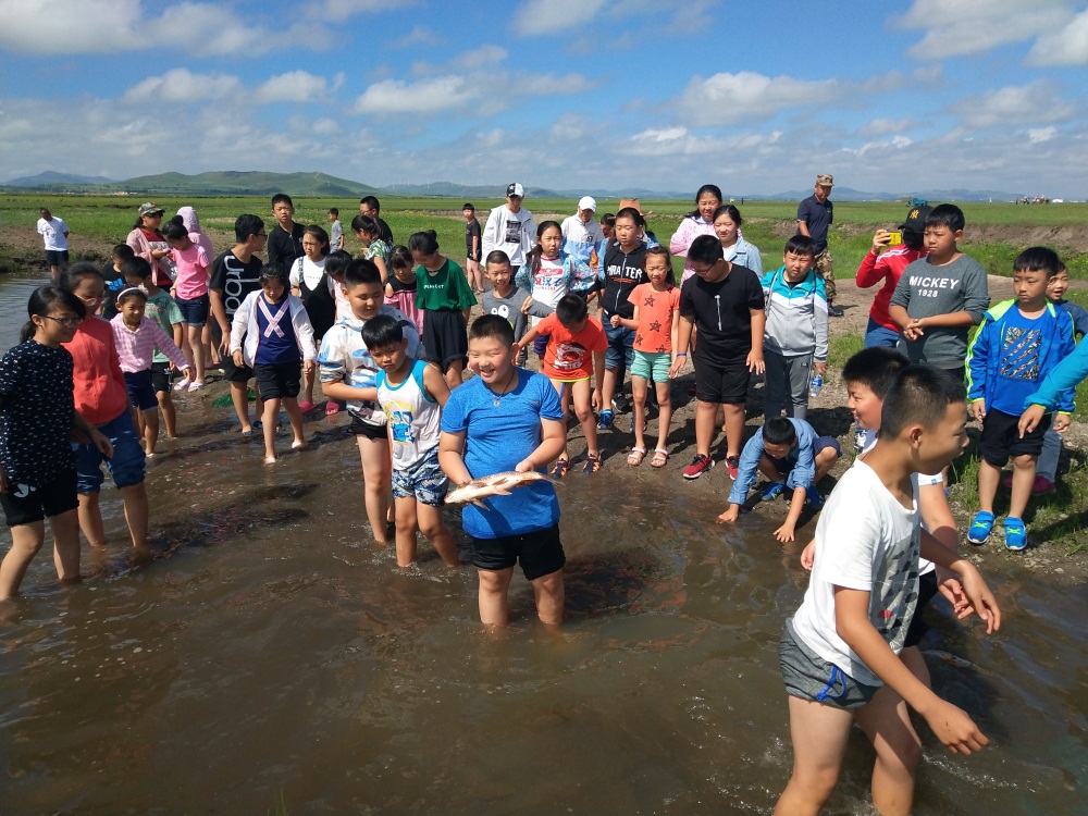 坝上草原研学夏令营方案_坝上草原-丰宁坝上旅游攻略路线-草原住宿自驾游 - 北京丰宁草原之家农家院